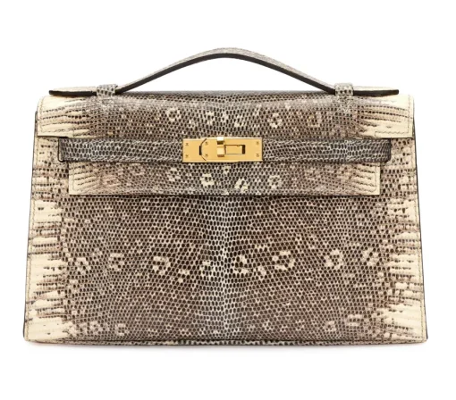 Hermès Ombre Salvator